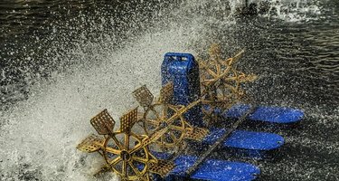 when is the best time to aerate your lawn