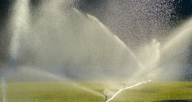 when is the best time to water your lawn