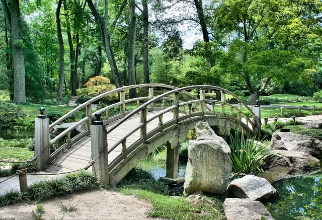 Visitors walking through the Japanese Garden bridge in fall