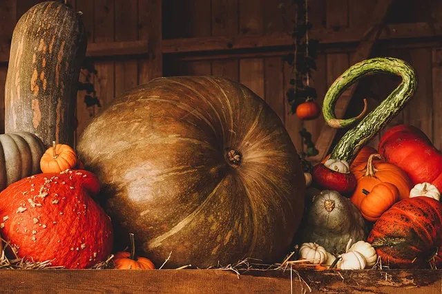 Seasonal pumpkin display at Union Square Greenmarket
