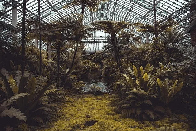 Interior of the Enid A. Haupt Conservatory with tropical plants