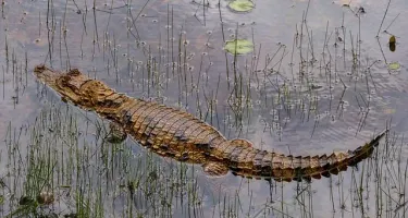 when is the best time to go to costa rica